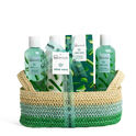 Aloe Vera Hydration Basket   Aloe Vera Hydration Basket